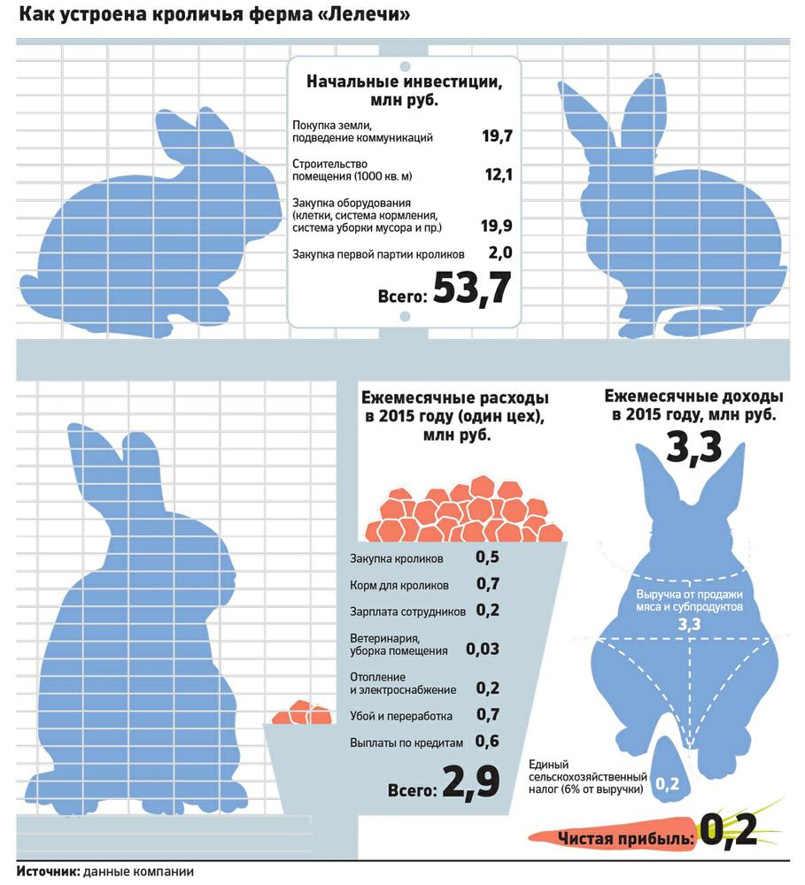 Выращивать кроликов — выгодное дело: продается все — от мяса до хвостов. /  Статьи / Портал менеджеров и представителей оптово-продуктовых фирм.  Оптовая торговля продуктами питания.